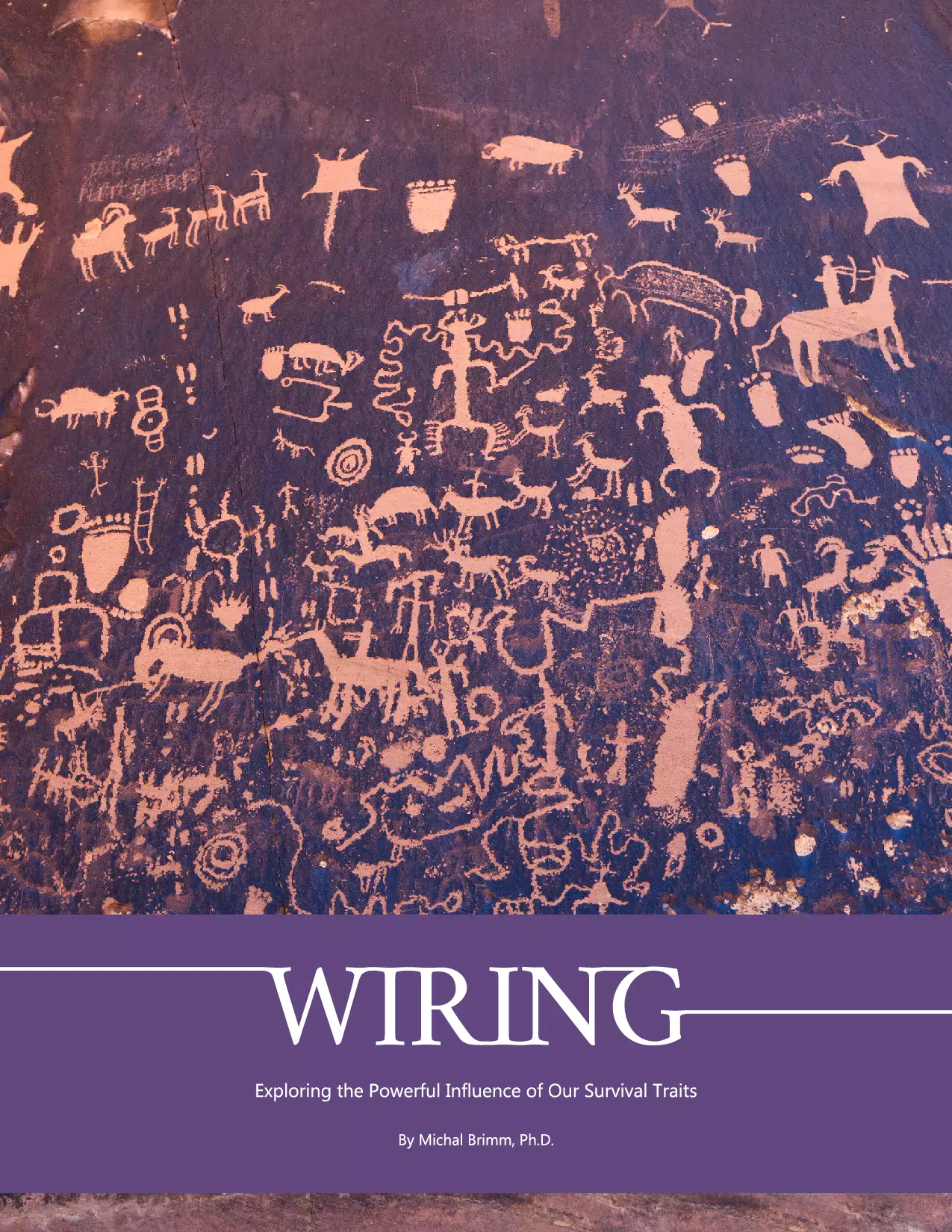 mbrimm-book1-cover-2